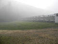 DSCN0233